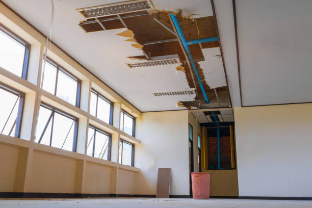 Best Flooded house restoration  in Pecan Grove, TX