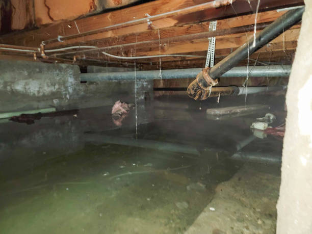 Best Commercial water damage restoration  in Pecan Grove, TX