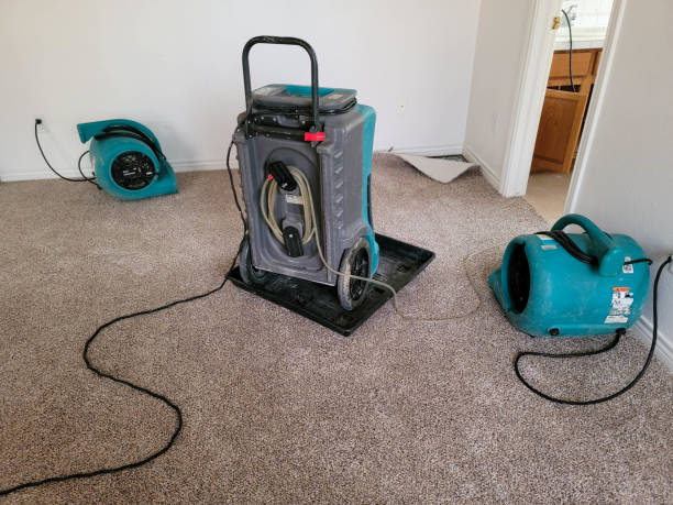 Best Water damage repair service  in Pecan Grove, TX