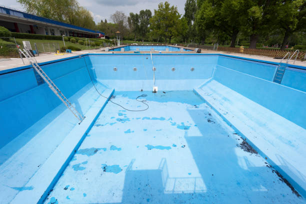Best Water damage cleanup near me  in Pecan Grove, TX