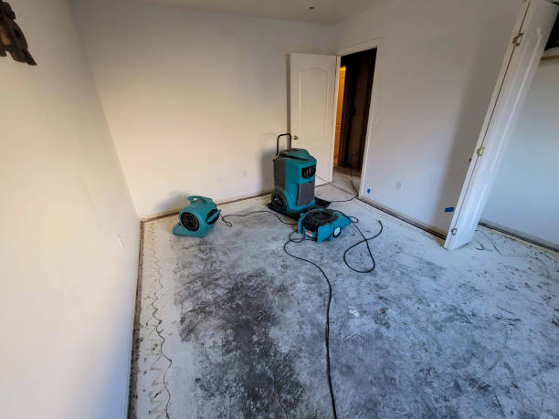 Best 24-hour water damage restoration  in Pecan Grove, TX