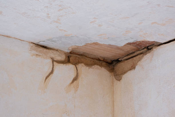 Best Carpet water damage restoration  in Pecan Grove, TX
