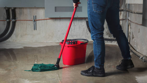Best Mold removal after water damage  in Pecan Grove, TX