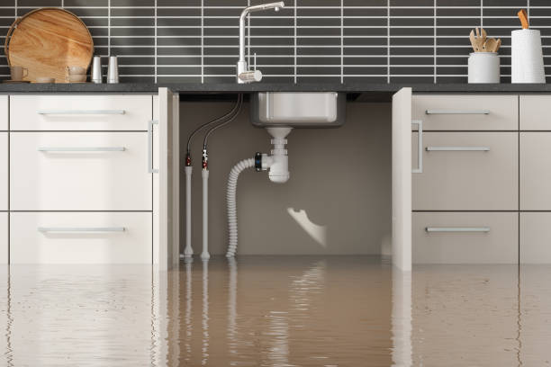Best Flood damage cleanup  in Pecan Grove, TX