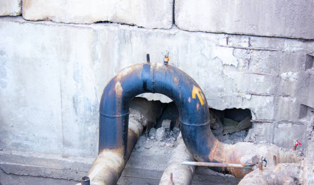 Best Basement water damage restoration  in Pecan Grove, TX